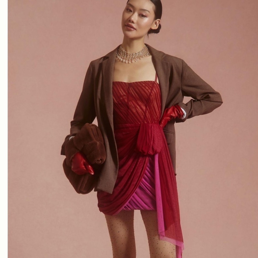 Anthropologie Structured Tulle Dress size 6 - Picture 7 of 10